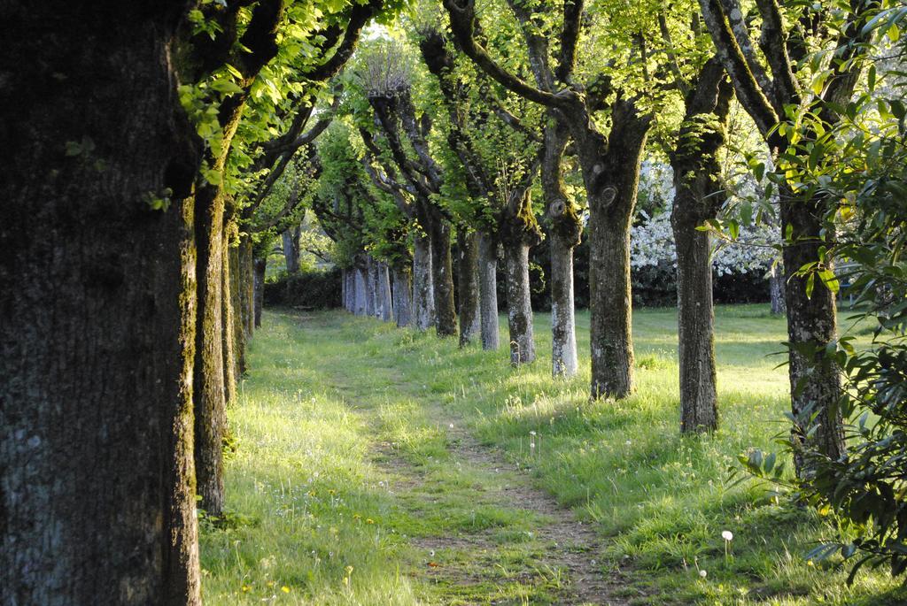 Eco-Gite - Domaine De La Gavolerie Bessé-sur-Braye Buitenkant foto